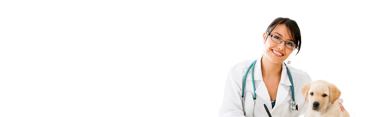 Ветеринар тримає цуценя