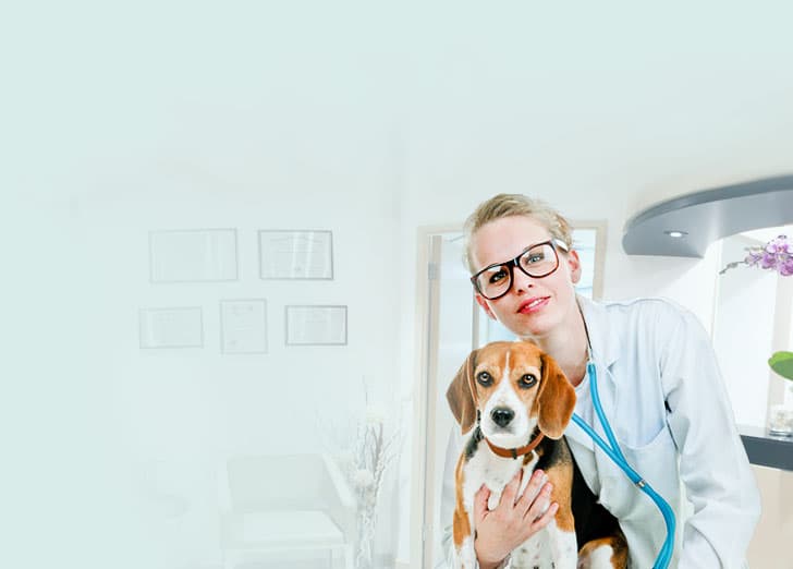 Ветеринар із собакою